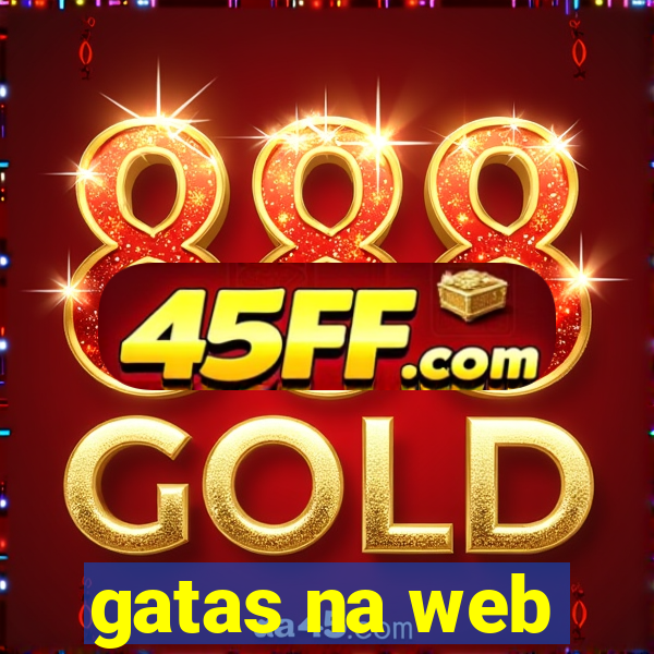 gatas na web